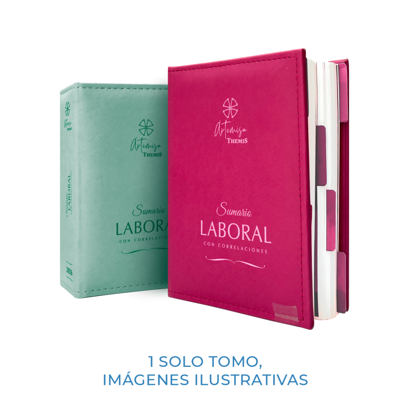 ARTEMISA SUMARIO LABORAL 2026