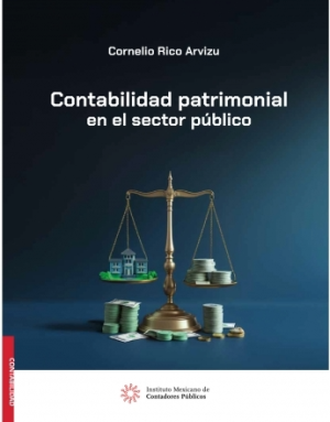 Contabilidad patrimonial en el sector público