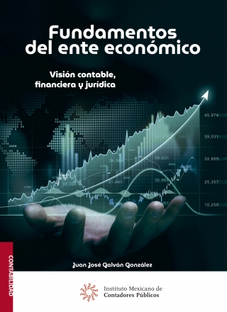 Fundamentos del ente económico. Visión contable, financiera y jurídica.